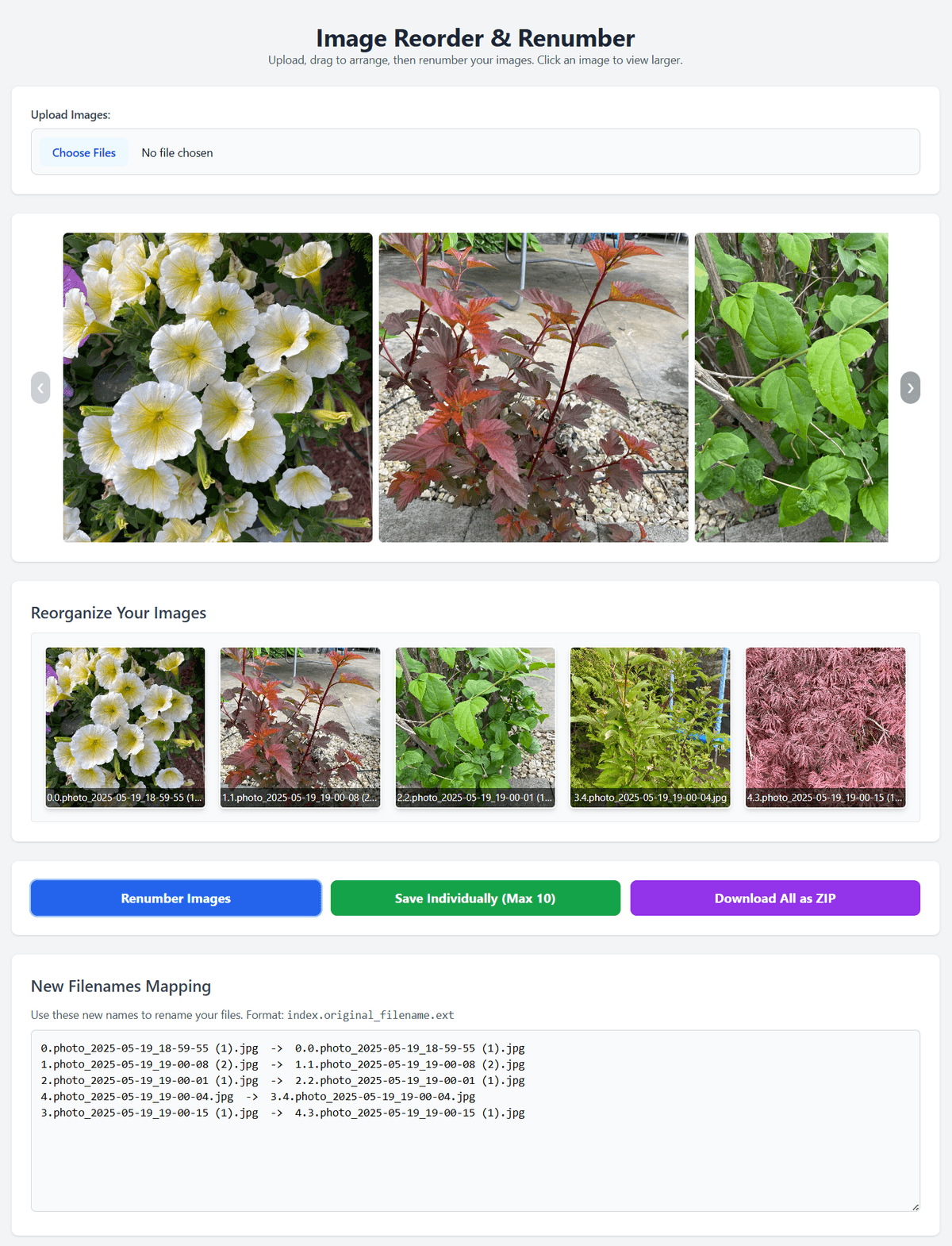 AI-Built & User-Ready in Less than 60 minutes - Gemini Codes the Image Reorder & Renumber App header image