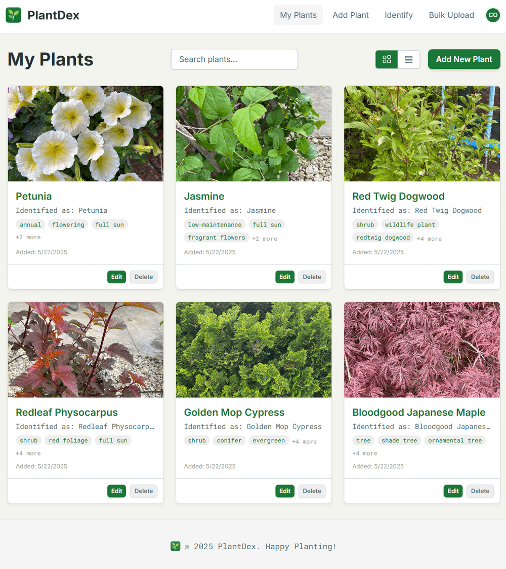 Building PlantDex: An AI-Assisted MVP Journey with Vue 3, Supabase & Pinia header image